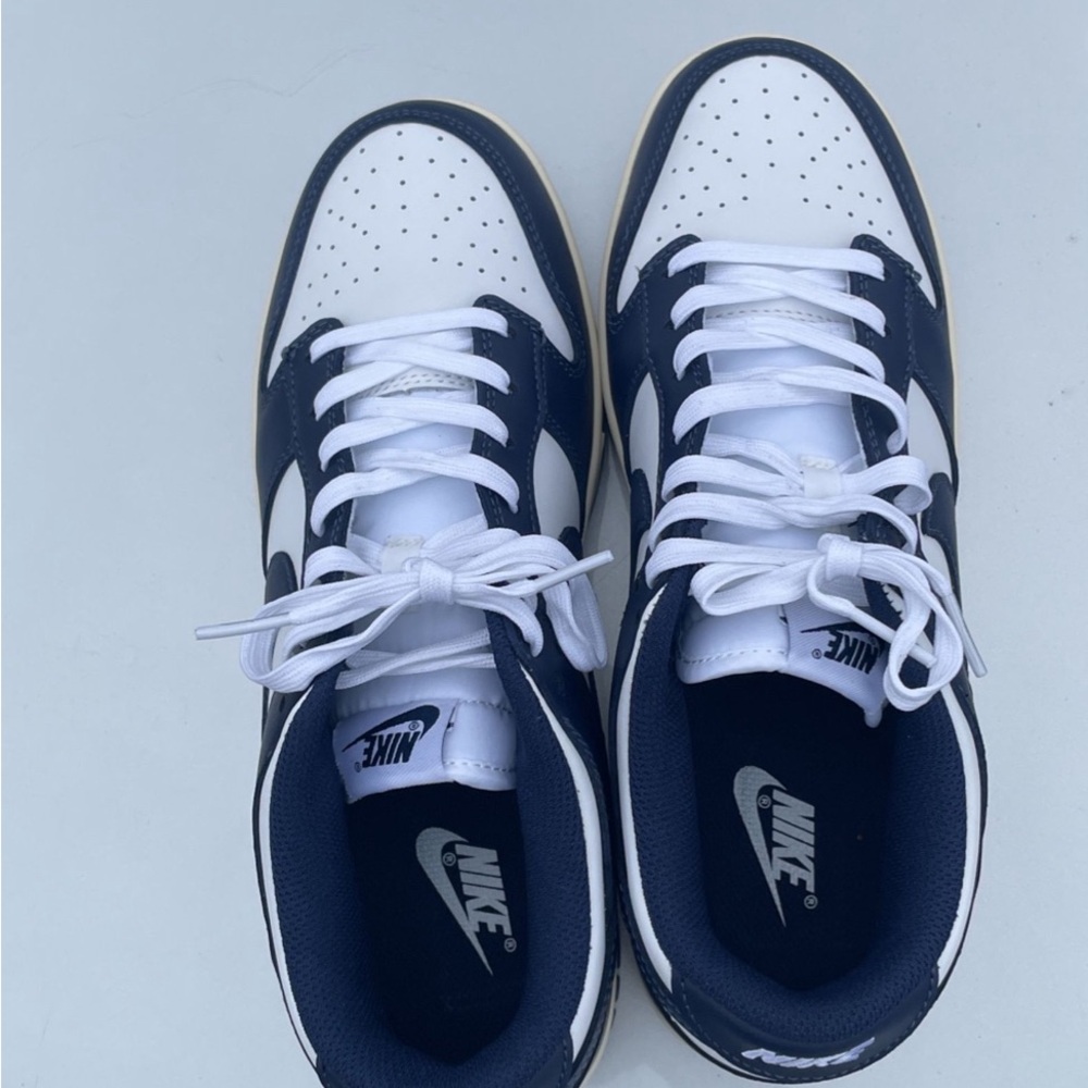 Nike vintage navy dunks